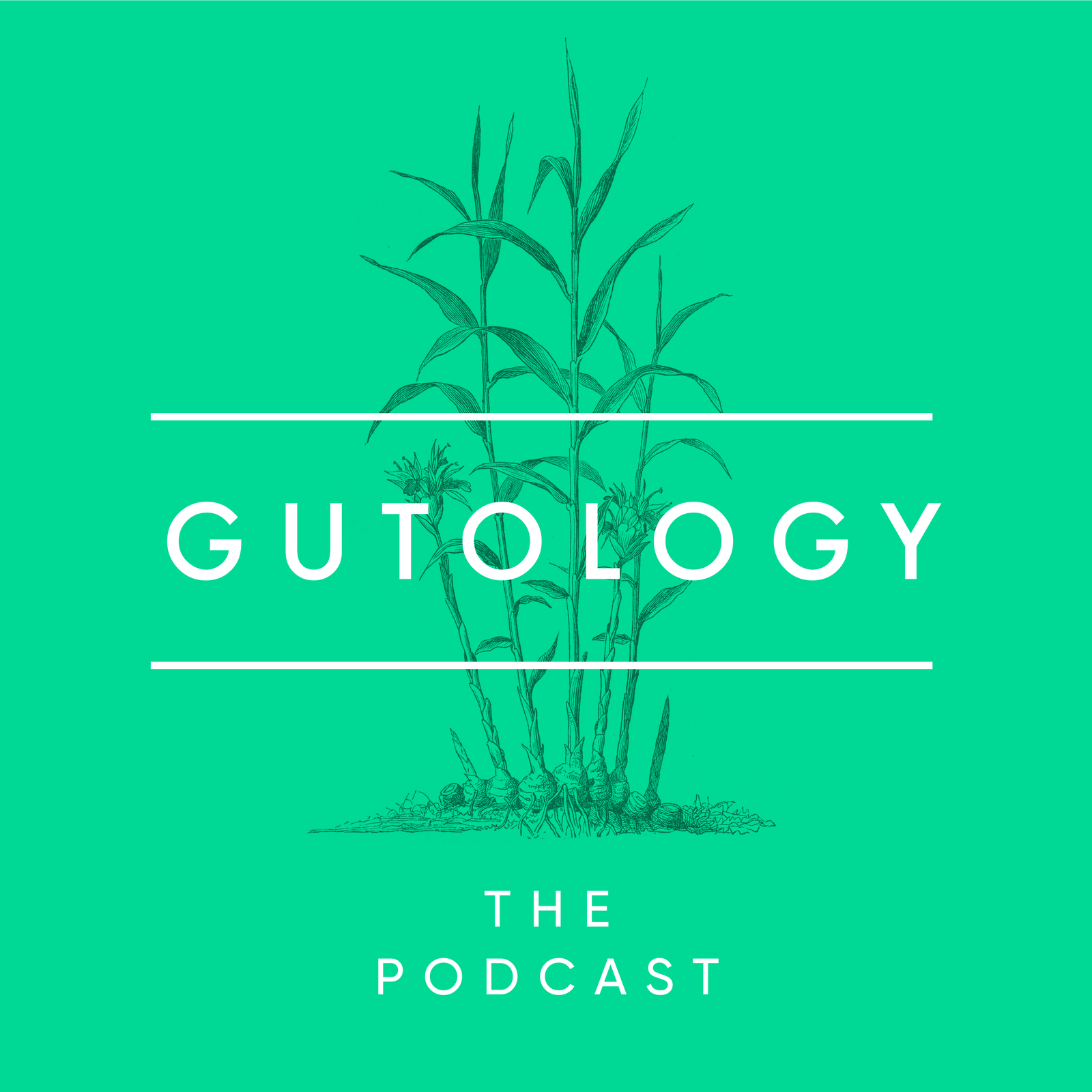 Gutology - The Top 10 Health Podcast