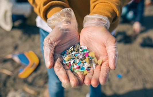 Invisible Invaders: The Rising Threat of Microplastics to Human Health