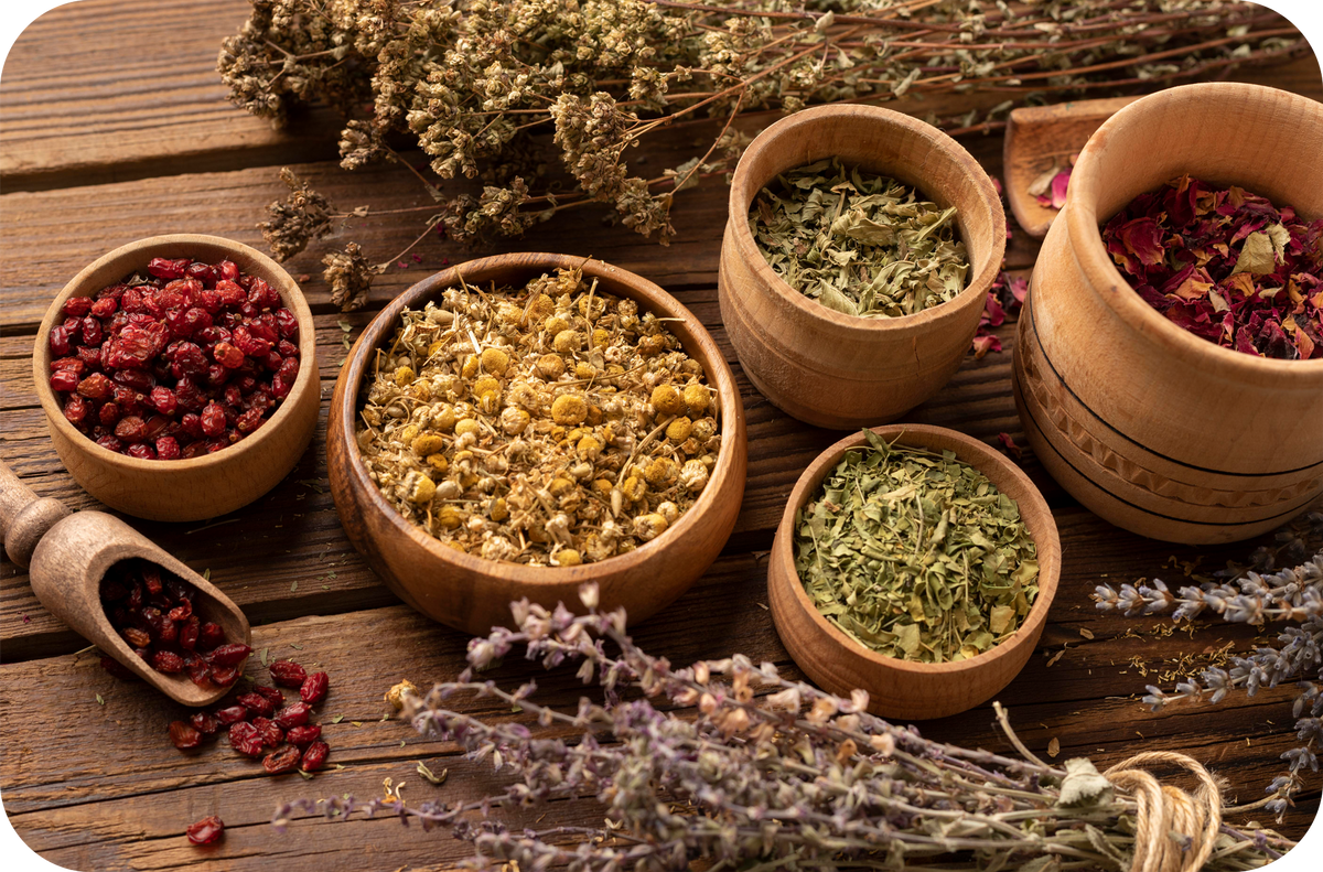 Adaptogens: Nature’s Stress Busters Explained