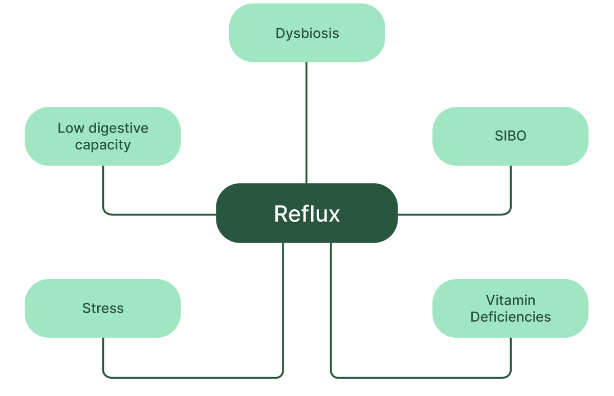 Refulation Means Reflux Home Page – Gutology